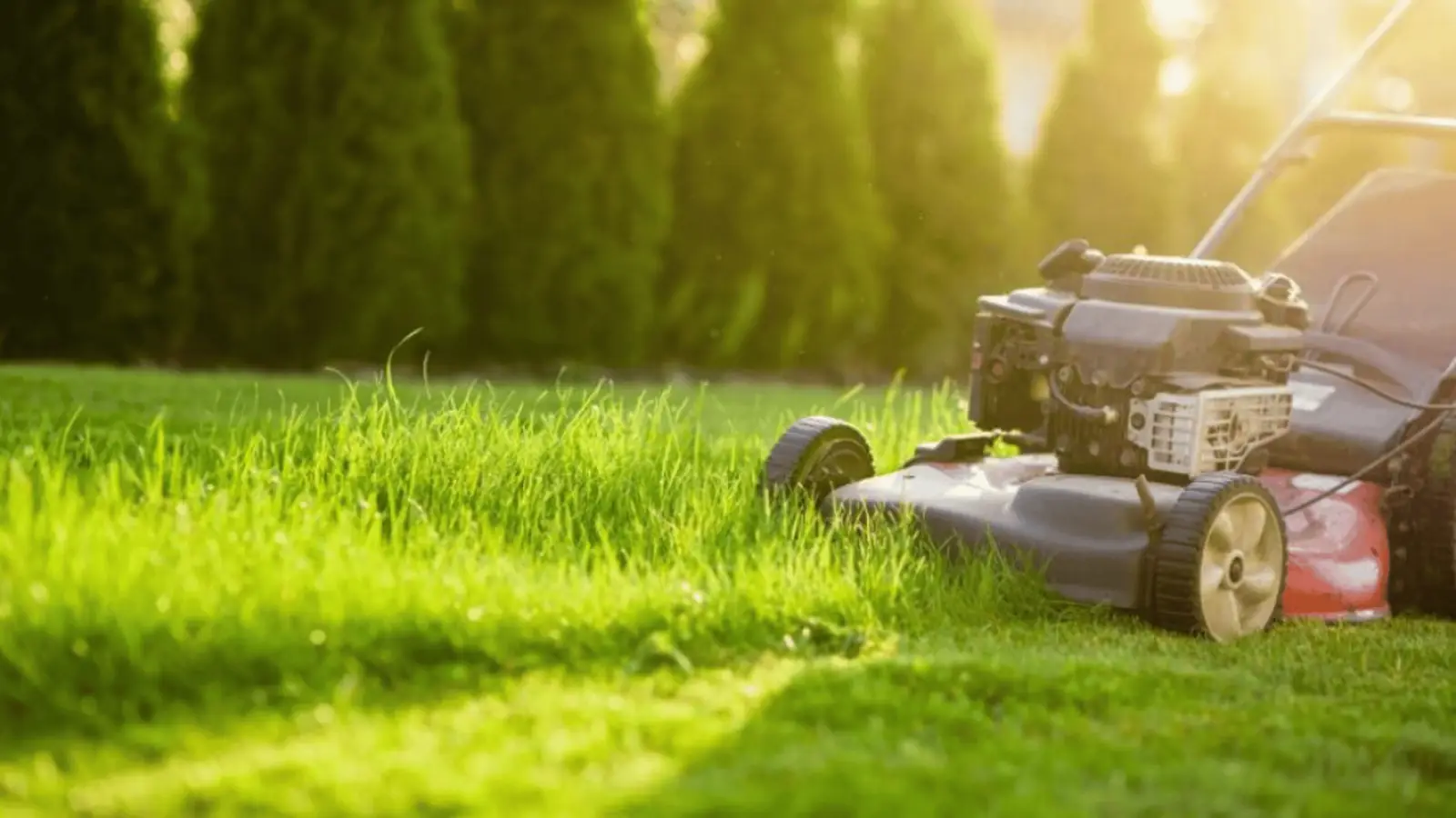 MDA Services — lawn care in Penrose